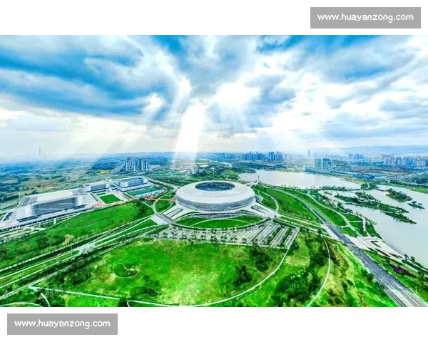 在胜负之外探寻中国竞技体育变革的深度调查与真实现场故事图景新